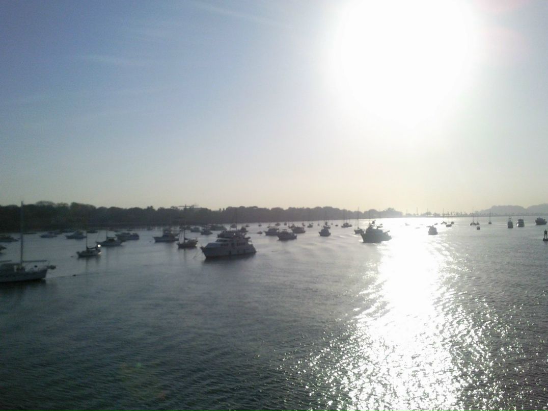 Piotr Rasilewicz | Szczecin