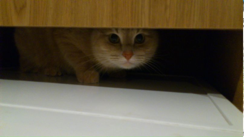 Павел Хуторной | Саров