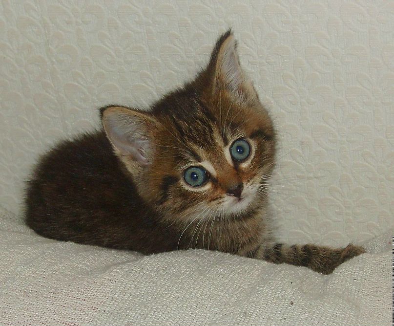 Настя Игнатьева | Санкт-Петербург