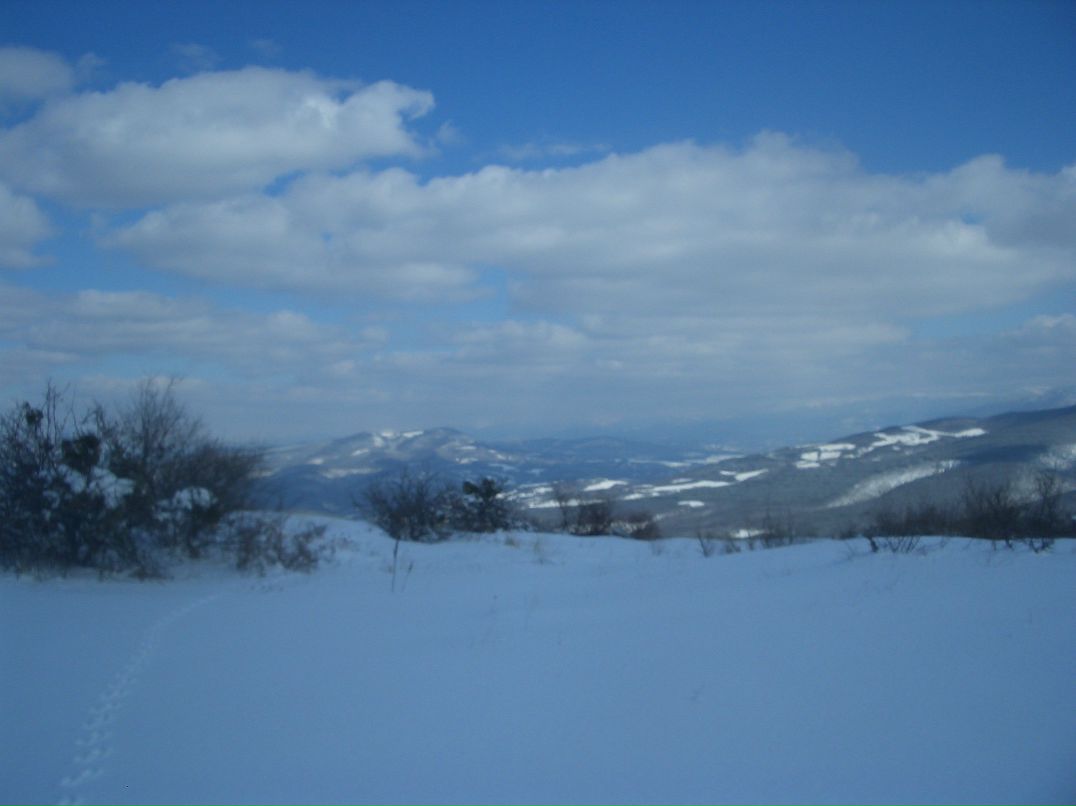 Аня Ледней Дмитриевна | Запорожье