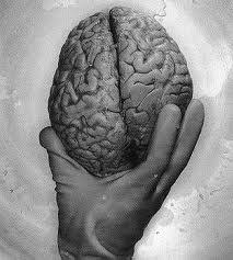 Яна Бежина Максимовна | Николаев