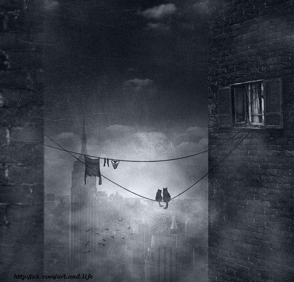 Александра Маркова | Череповец