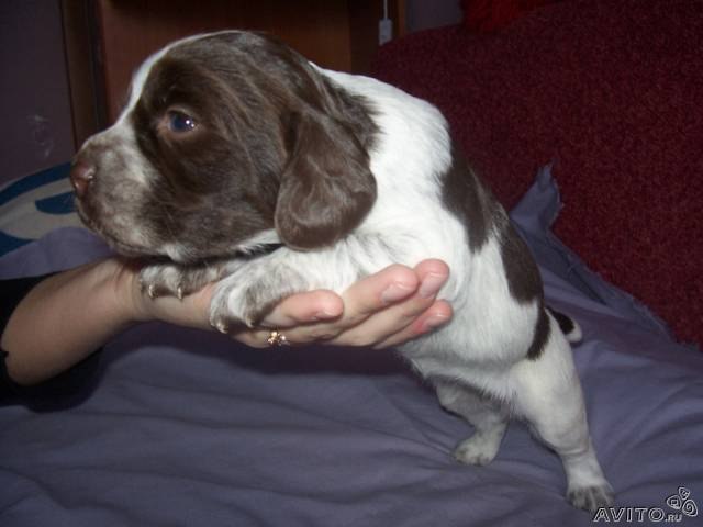 Оксана Козловская | Санкт-Петербург