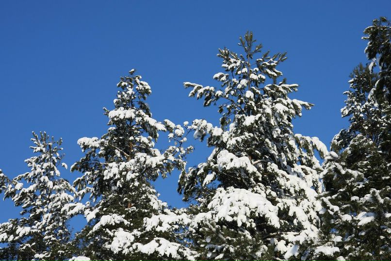 Павел Казаков | Минск