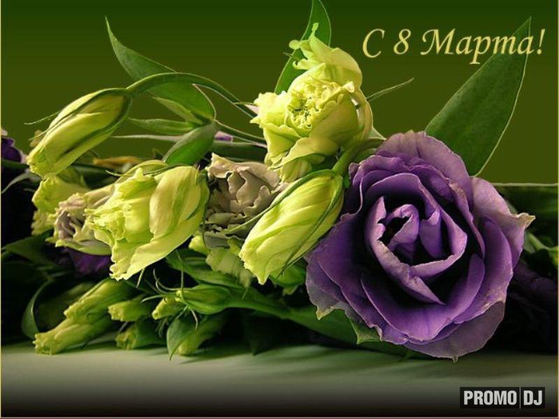 Марина Ватулина | Санкт-Петербург