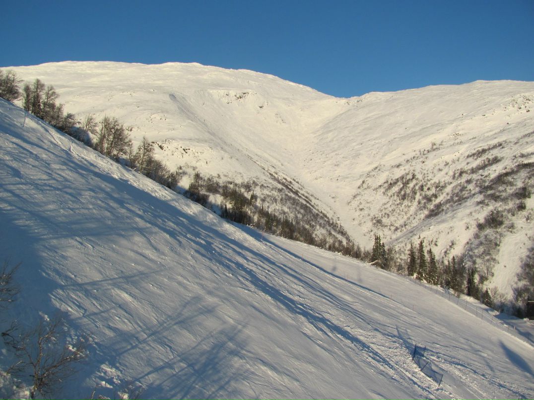 Александр Катютин | Санкт-Петербург