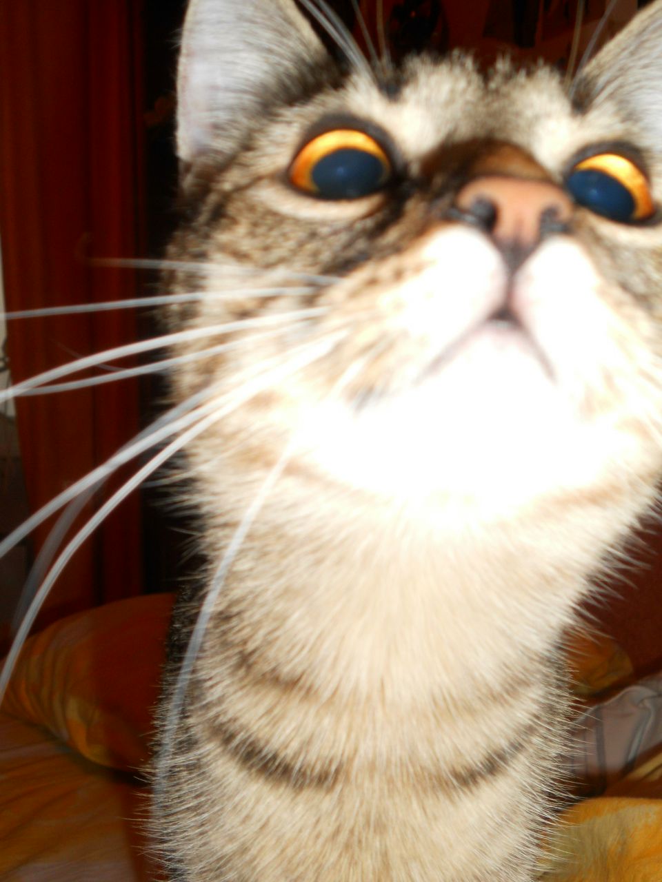 Аленочка Мурленочка | Минск