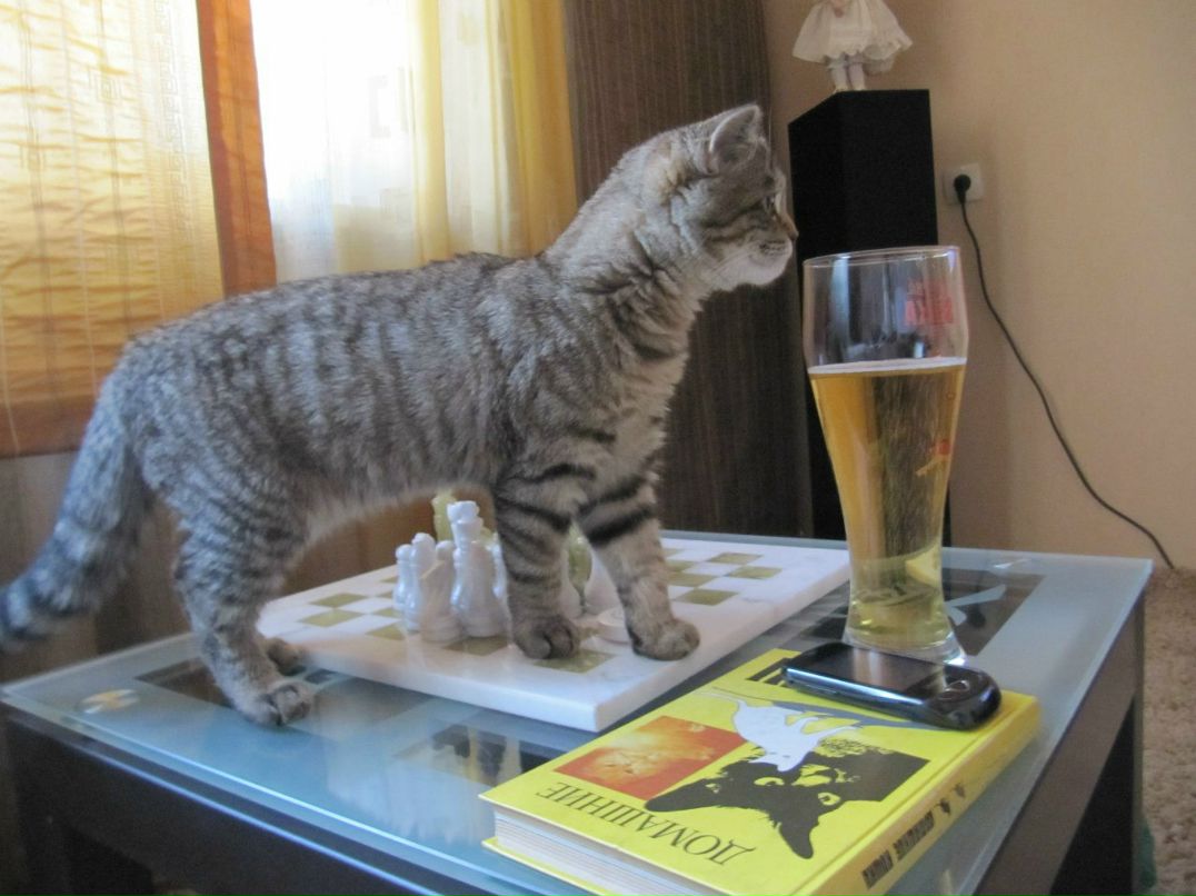 Вероника Губанова | Новокузнецк