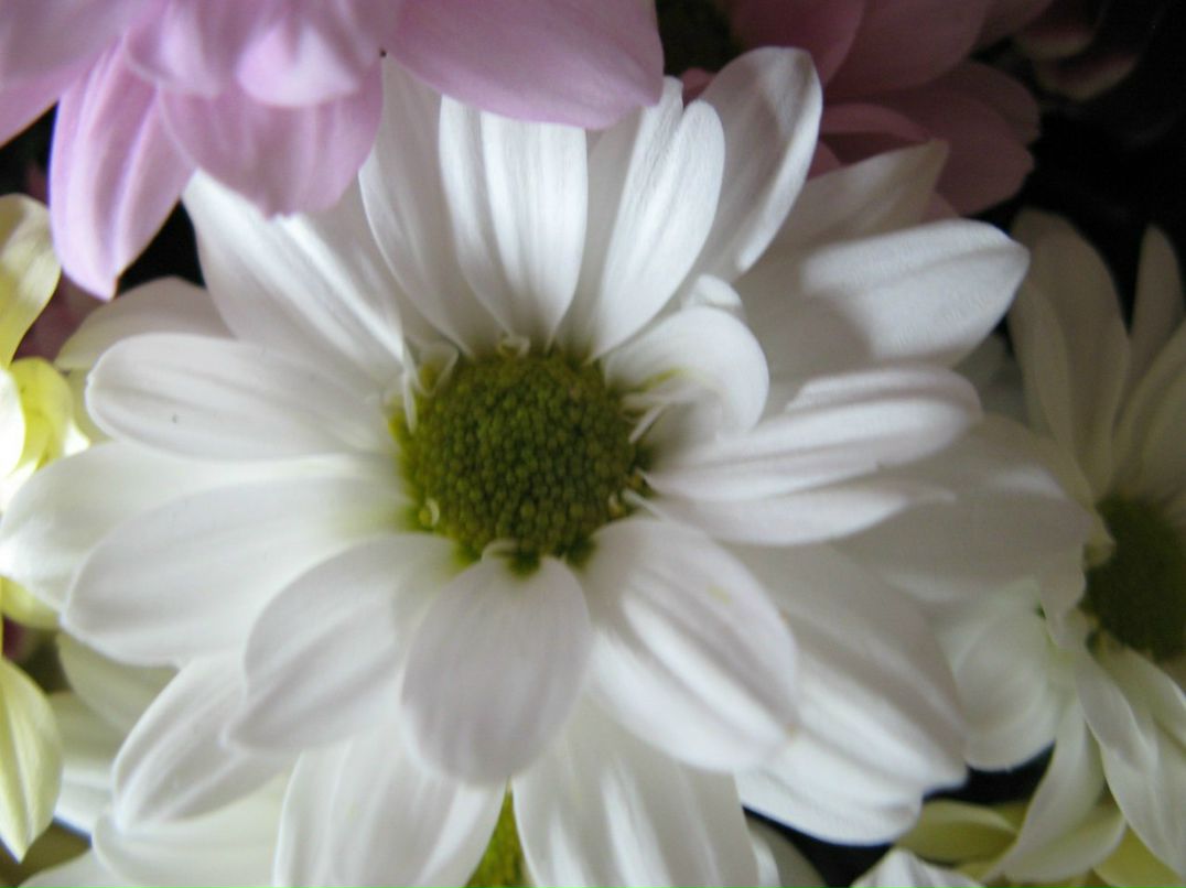 Юлия Гусарова | Москва