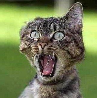 Ольга Мастерова | Тольятти