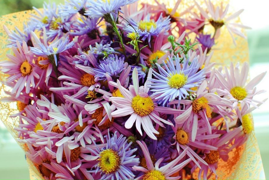 №141, Алина Семилетова, 33 года, Тамбов №141, Алина Семилетова, 33 года, Тамбов