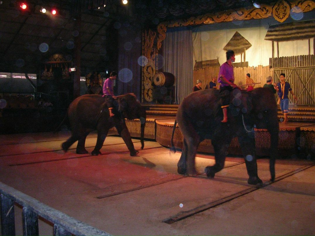 Айгуль Липовская | Уфа