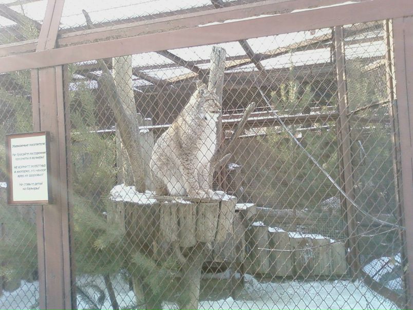 №30, Роберт Тазиев, Первоуральск №30, Роберт Тазиев, Первоуральск