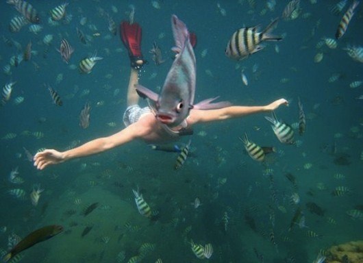 Виктория Афанасьева | Москва