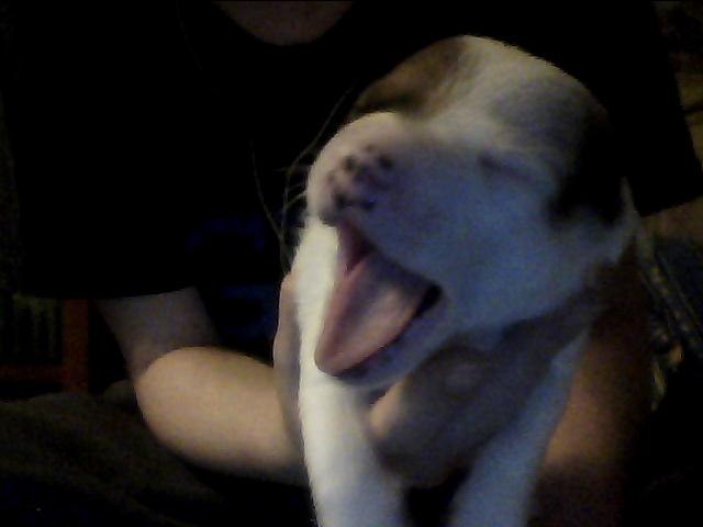 Дарья Сычугова | Москва