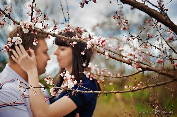 Анастасия Иванова | Краснодар