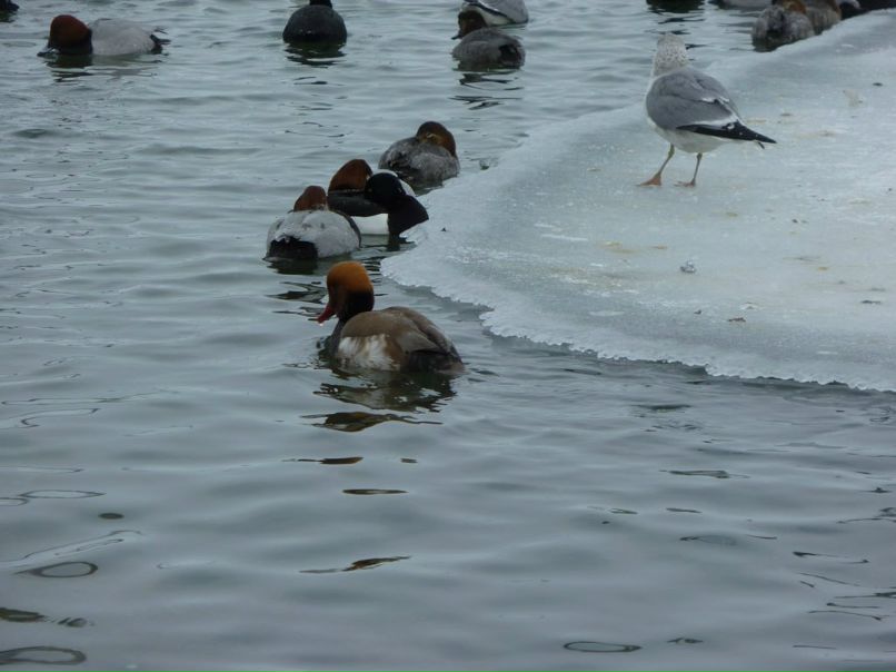 Денис Башкатов dddd | Керчь