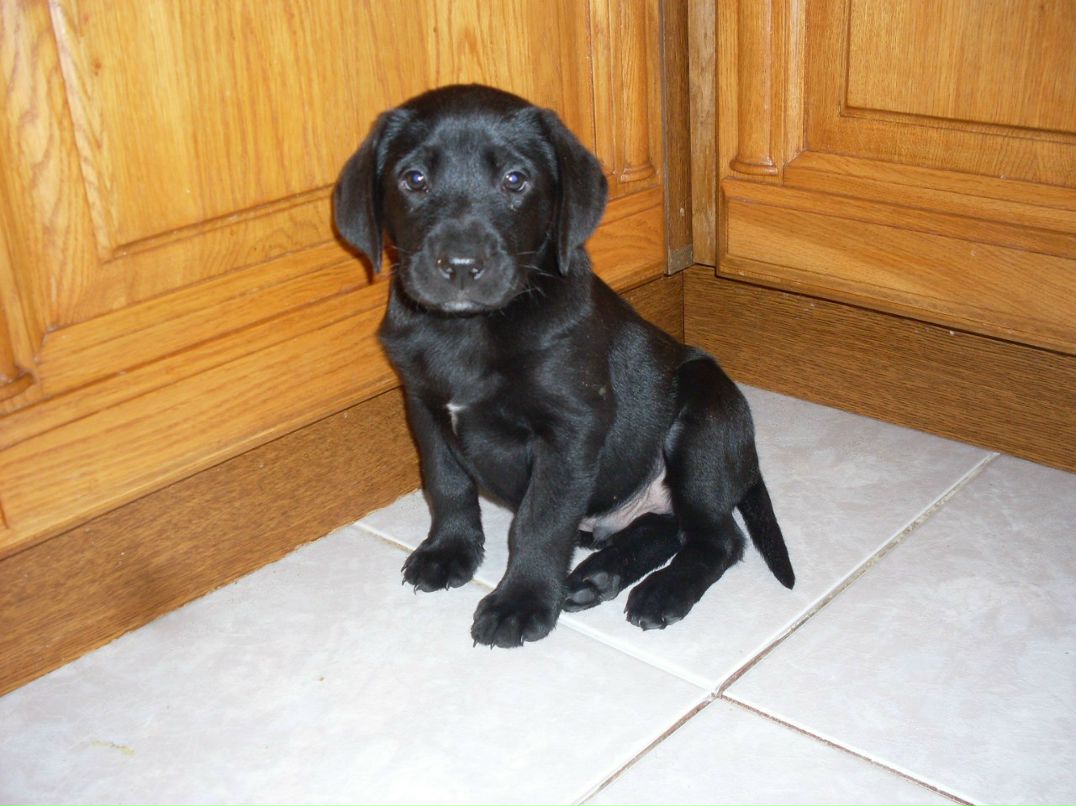 Диана Оренко | Киев