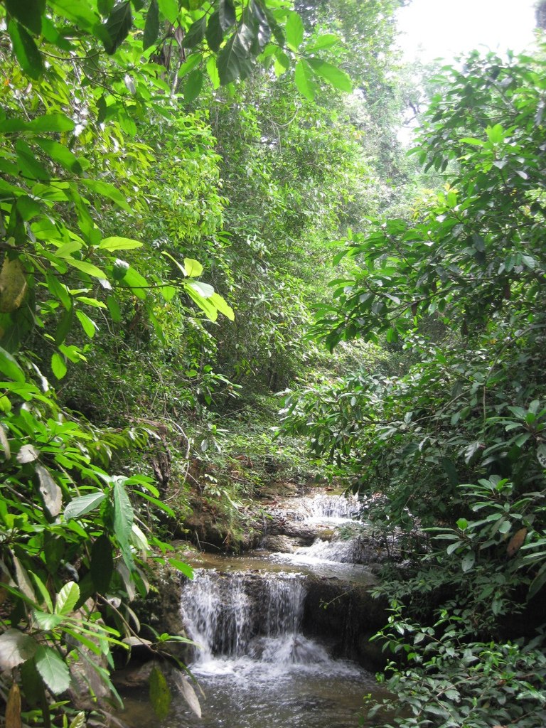 Диана Одинцова | Барнаул