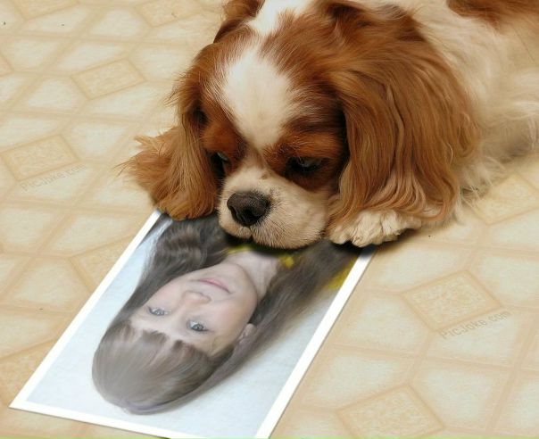 №10, Александра Новикова №10, Александра Новикова