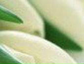 Christina Savenkova ♥✔♥ | 