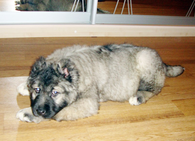 Lena Baikova | Москва