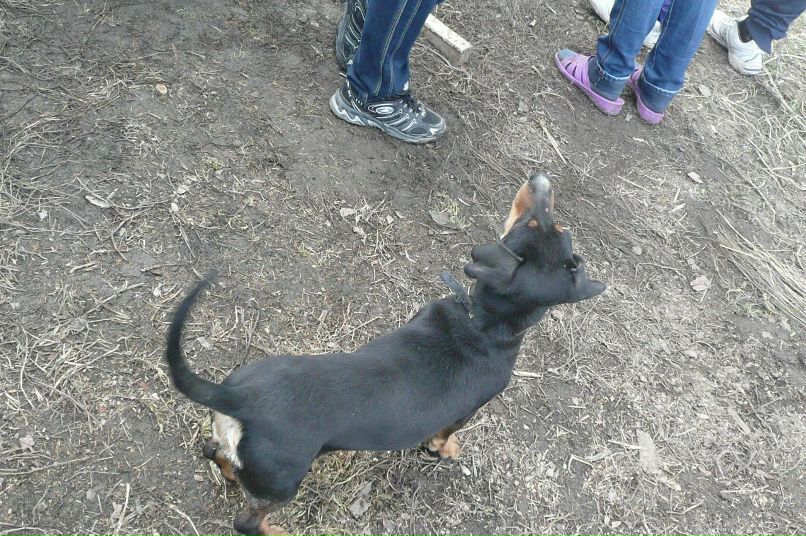 Екатерина Иринархова | Барнаул