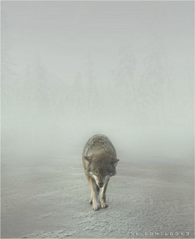 Никита Царёв Дмитриевич | Москва