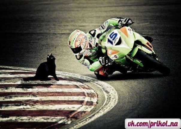 Евгений Божко | Березинское