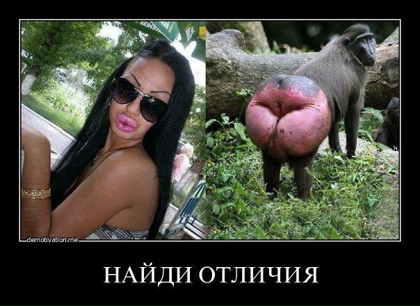 №24, Андрей Мерзляков, Москва №24, Андрей Мерзляков, Москва