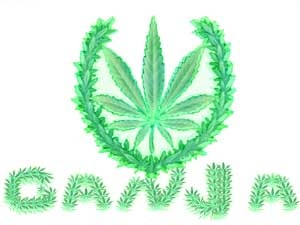 №26, Ваня Іванческул, 37 лет, Ивано-Франковск №26, Ваня Іванческул, 37 лет, Ивано-Франковск