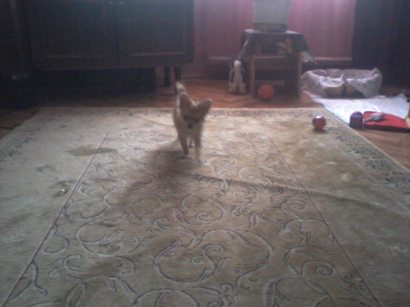 Наталья Вячеславовна | Санкт-Петербург