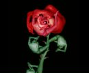 №7 Инга Клюшина 13.12.1968: профиль, фото, статус - ВКонтакте №7 Инга Клюшина 13.12.1968: профиль, фото, статус - ВКонтакте