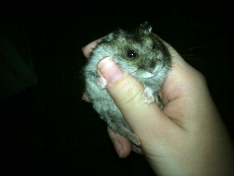 №181, Hanna Pulina, Киев №181, Hanna Pulina, Киев