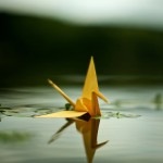 №83, Мария Голубничая, 46 лет, Великий Новгород №83, Мария Голубничая, 46 лет, Великий Новгород