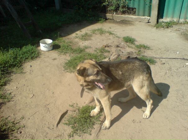 №6, Андрей Кречко №6, Андрей Кречко