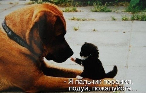 Ильшат Хамитов | Набережные Челны