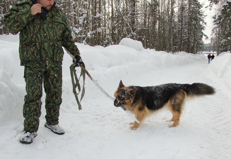 Виктор Кольцов | Санкт-Петербург