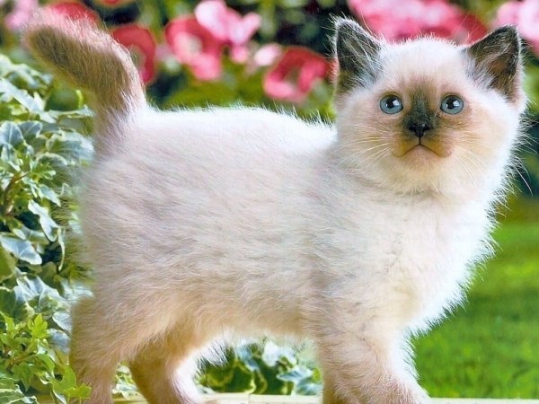 Юльчик Соляник ♥♥♥[иωλdʞ ин ʞɐʞ] ♥♥♥ | Донецк