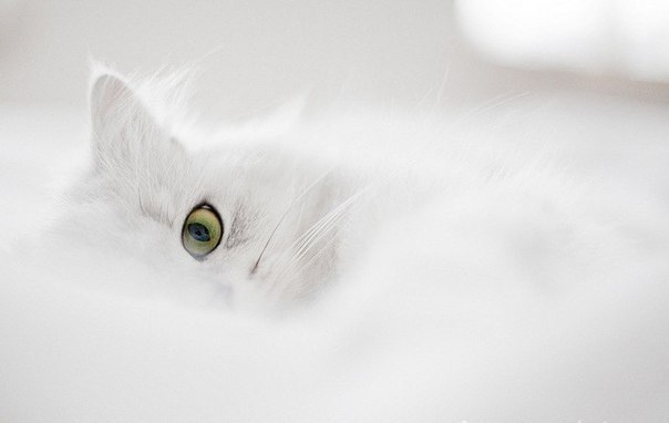 Настя Овсянникова | Москва