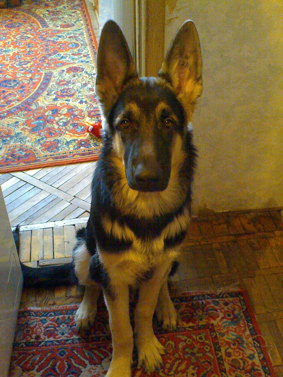 Валентина Аксёнова | Москва