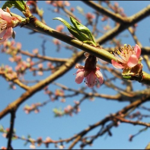 №133, Юлия Базенко, Воронеж, Россия №133, Юлия Базенко, Воронеж, Россия