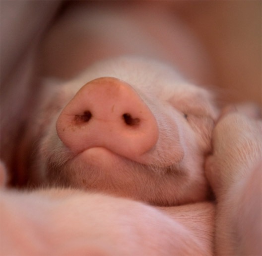 №15, Kristina Lucas №15, Kristina Lucas