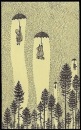Фотография Саратовой Полины
