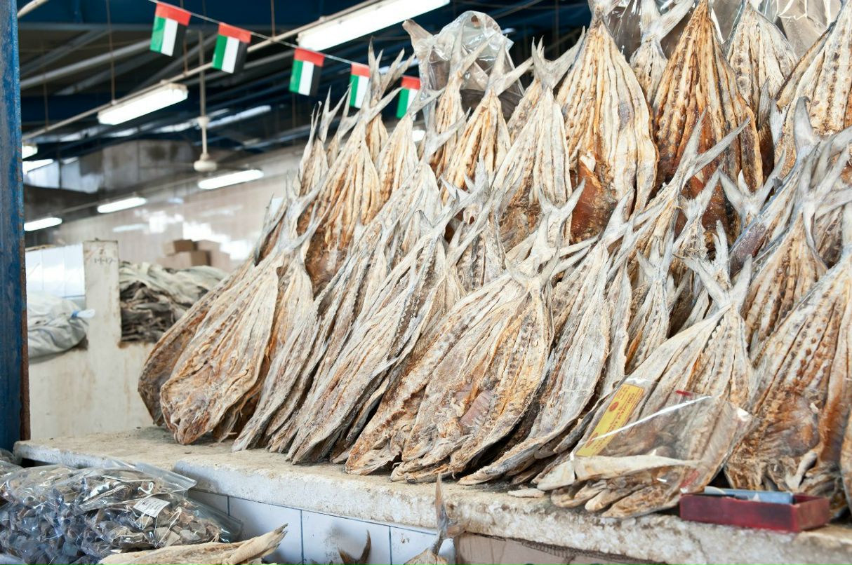 Катя Железкина «Мечта*Fe*Менделеева» | Москва