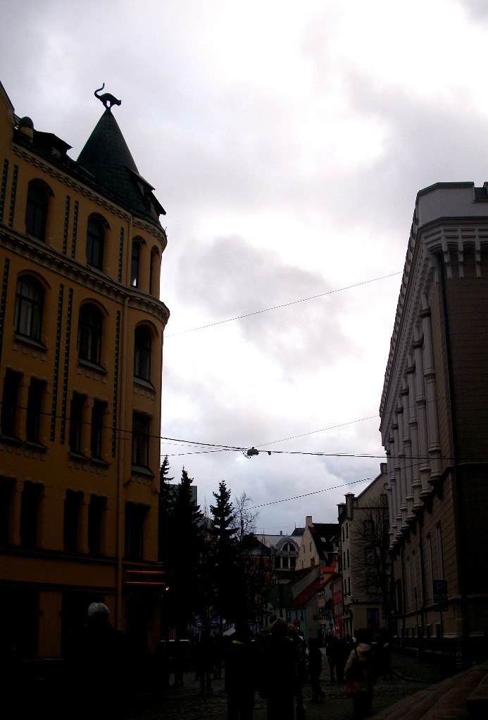 Таня Козик | 