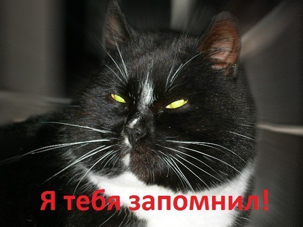 Алексей Гончаров | Ростов-на-Дону