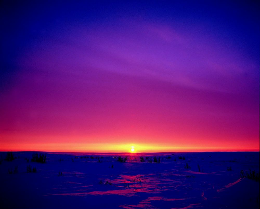 Александр Егоров | Красногорск