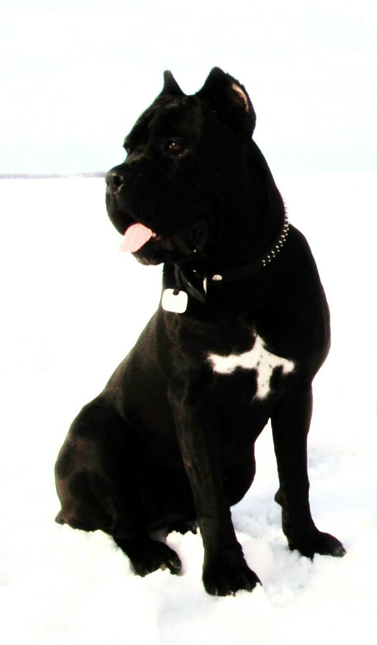 Ангелина Жукова | Самара