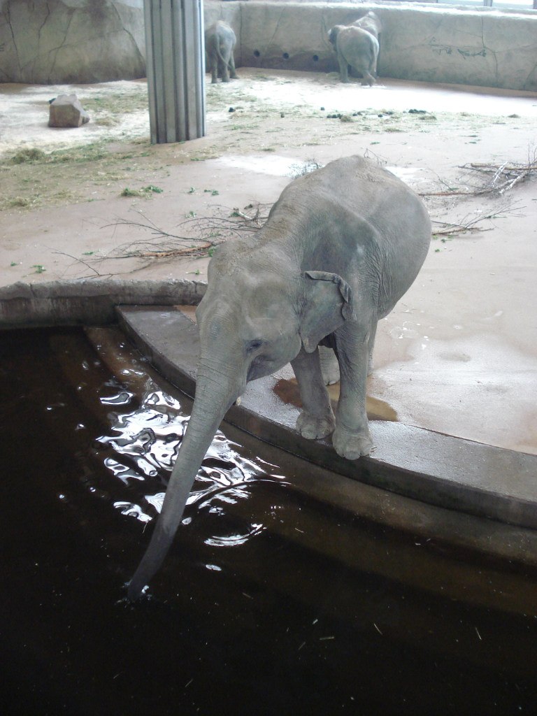 Алёна Маковка | Краснознаменск